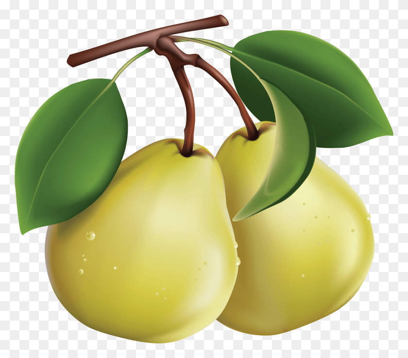 3572x3104 Pear Image Pear Clipart, Plant, Fruit, Food HD PNG Download