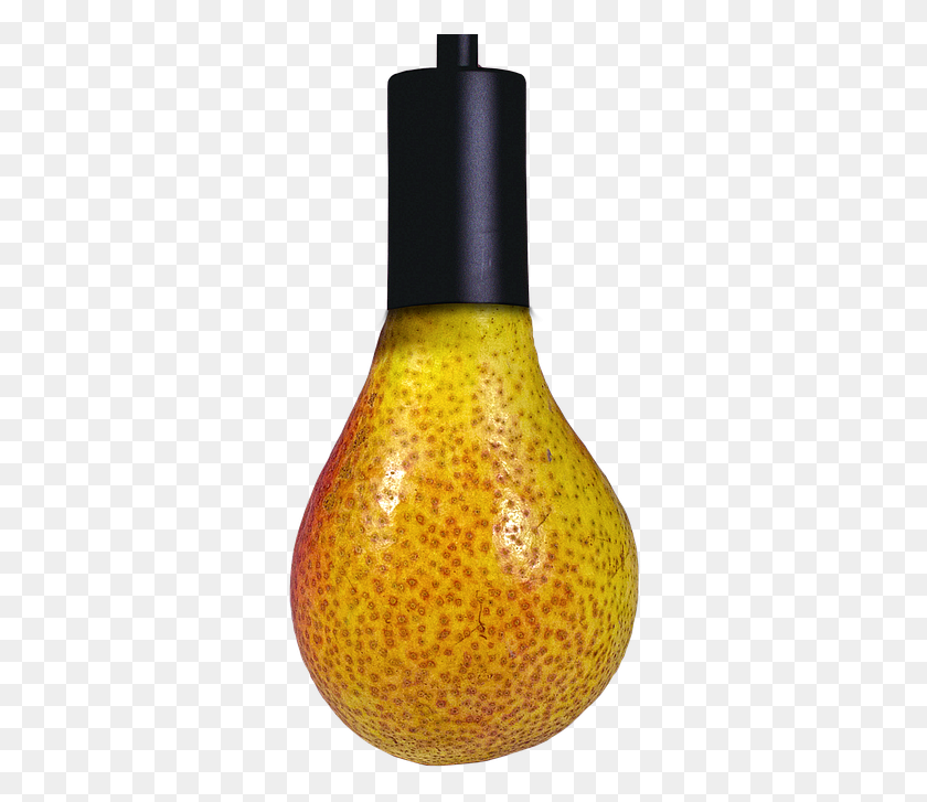 322x667 Pear Lamp Holder Surreal Williams Christ Light Bulb Surealisme Lampu, Plant, Fruit, Food HD PNG Download