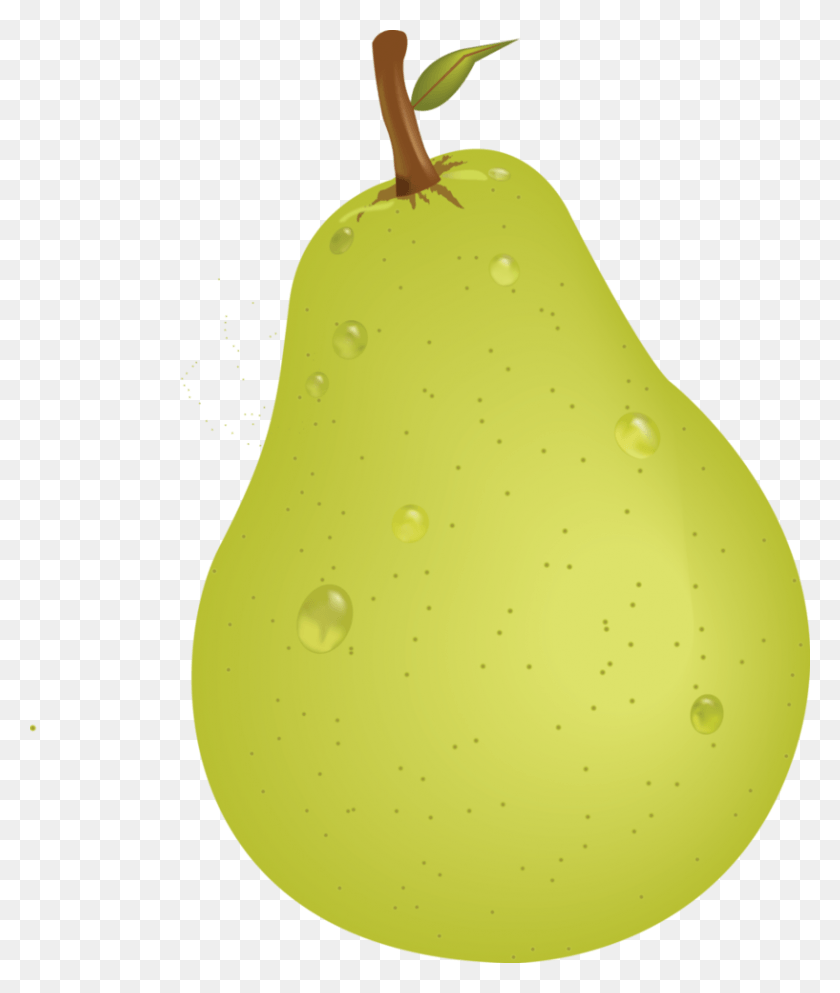 817x978 Pear Vector Transparent Background Pear Clipart, Plant, Fruit, Food HD PNG Download