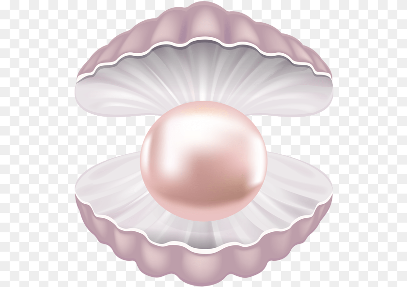 537x593 Pearl Clipart Pearl In The Shell Clipart, Accessories, Jewelry PNG