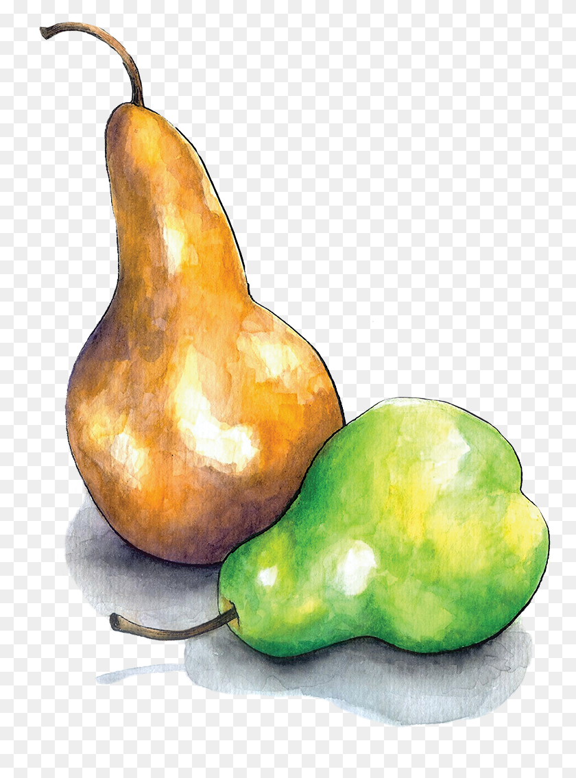 766x1075 Pears Still Life Photography, Plant, Fruit, Food HD PNG Download