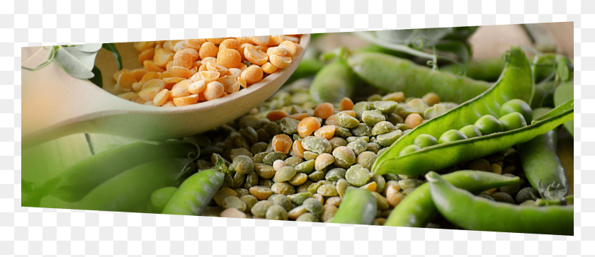 2516x978 Peas Image Natural Foods, Plant, Produce, Food HD PNG Download