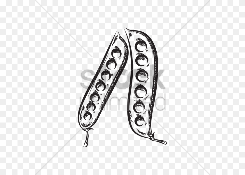 Peas In Pod Vector Image, Text, People, Person Sticker PNG