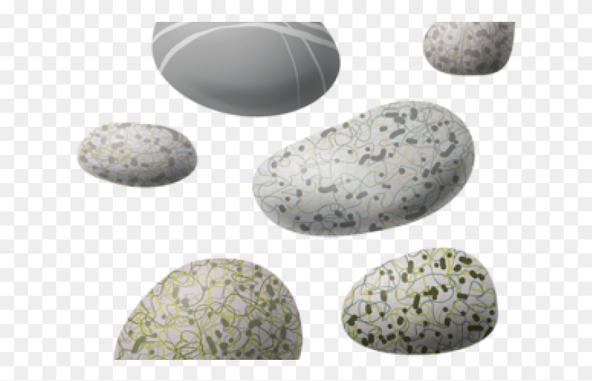 626x481 Pebble, Plant, Food, Vegetable HD PNG Download