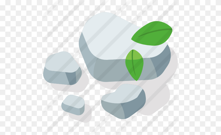 Pebbles, Herbal, Herbs, Leaf, Plant Transparent PNG