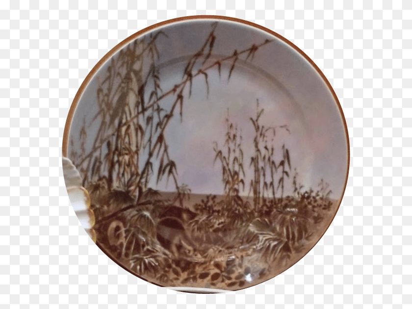 589x570 Peccaries Maize Ampamp Plate, Porcelain, Pottery Descargar Hd Png