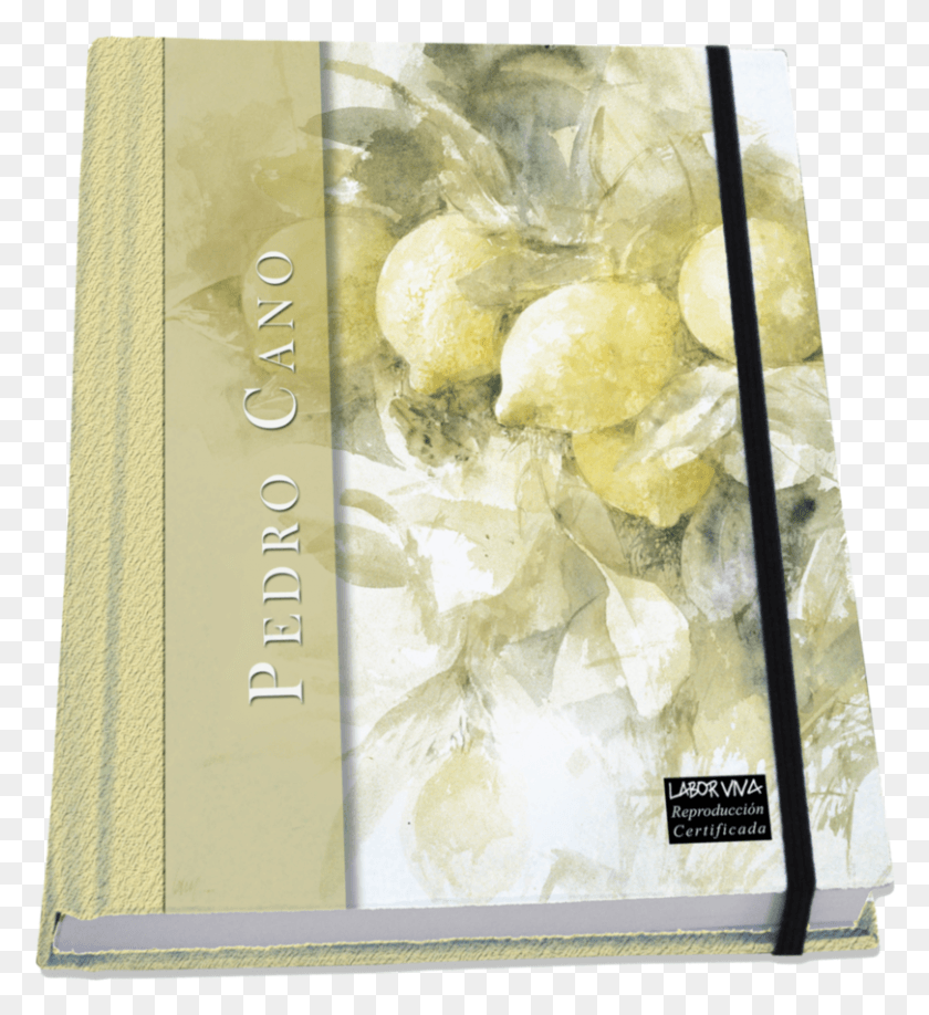 810x892 Pedro Cano Limones Notebook Book Cover, Plant, Envelope, Mail HD PNG Download