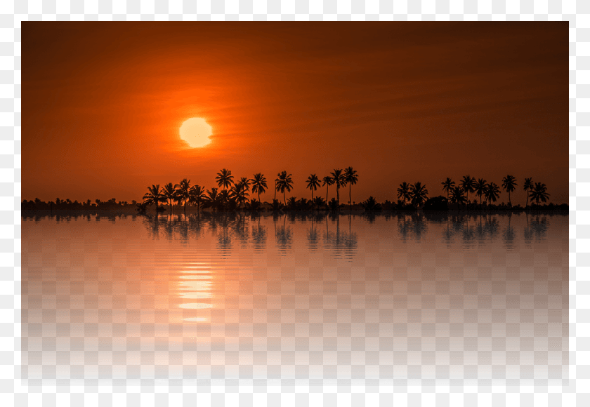 960x640 Peel N Stick Poster Of Sun Tree Isolated Sunset Sunrise Nature, Outdoors, Sky, Dawn HD PNG Download