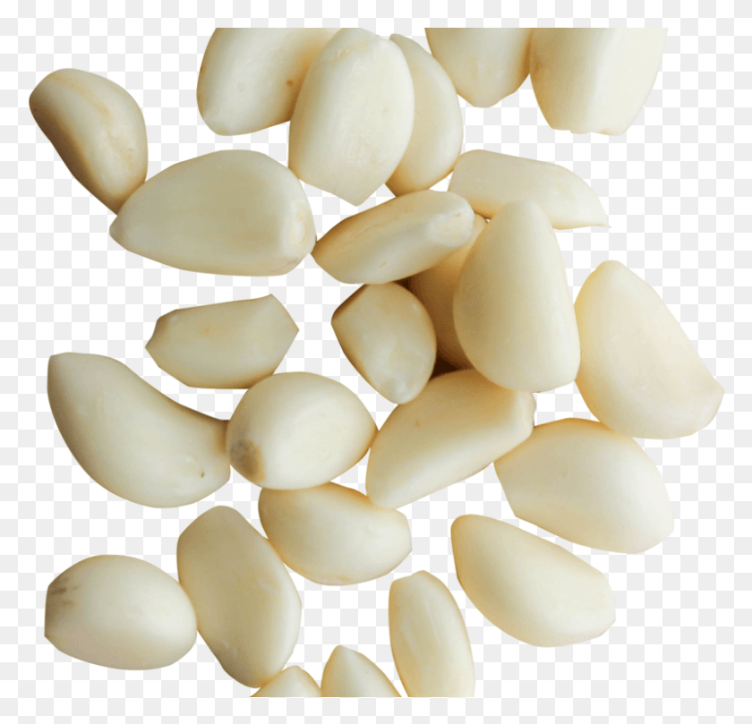 800x769 Peeled Garlic Cloves Image Transparent Gravel, Plant, Vegetable, Food HD PNG Download