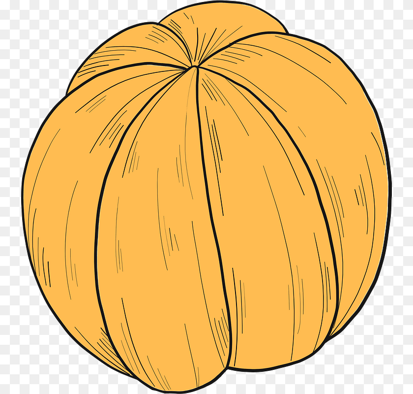 Peeled Orange Clipart Pumpkin, Food, Produce, Plant, Vegetable Sticker PNG