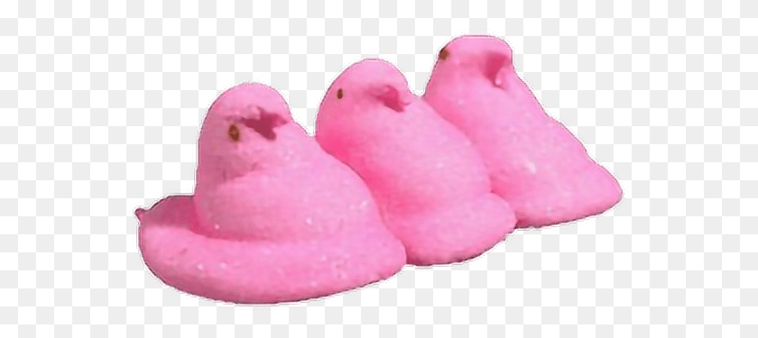 555x315 Peep Peeps Chick Chicks Candy Marshmallow Marshmello Kue, Sweets, Food, Confectionery HD PNG Download