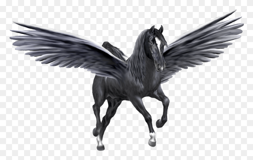1291x783 Pegasus Pegasus, Bird, Animal HD PNG Download