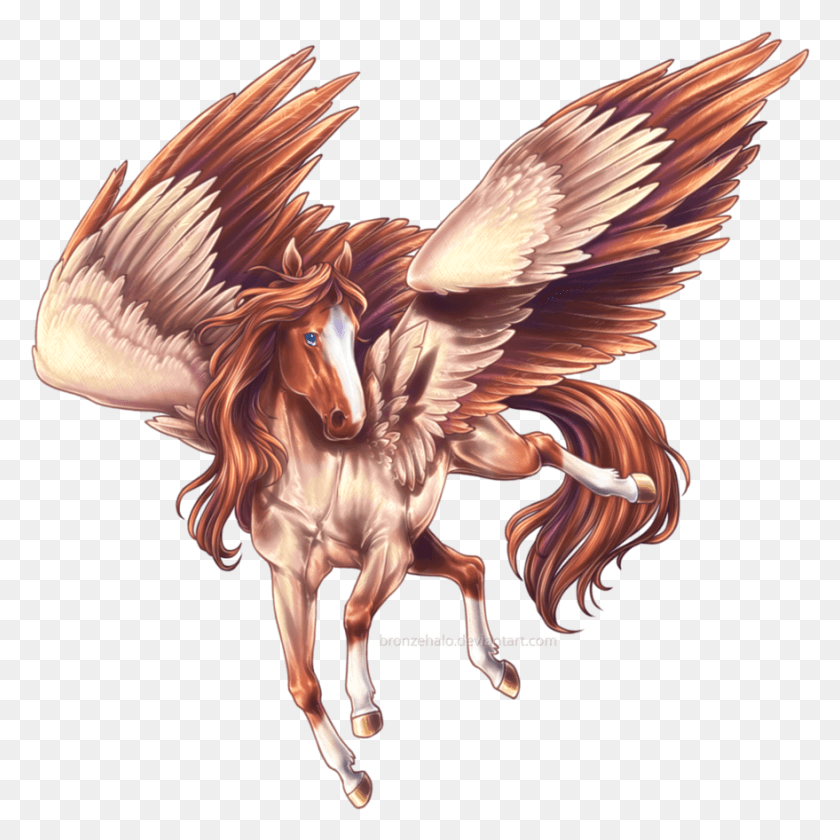 879x879 Pegasus Pic Pegasus Howrse, Pollo, Aves De Corral, Aves Hd Png