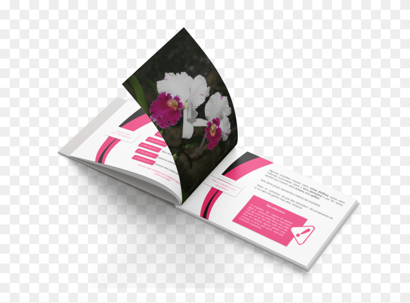1200x864 Descargar Png Pegue O Seu E Book Gratuito Onde Lhe Enviamos 7 Segredos Moth Orchid, Flyer, Poster, Paper Hd Png