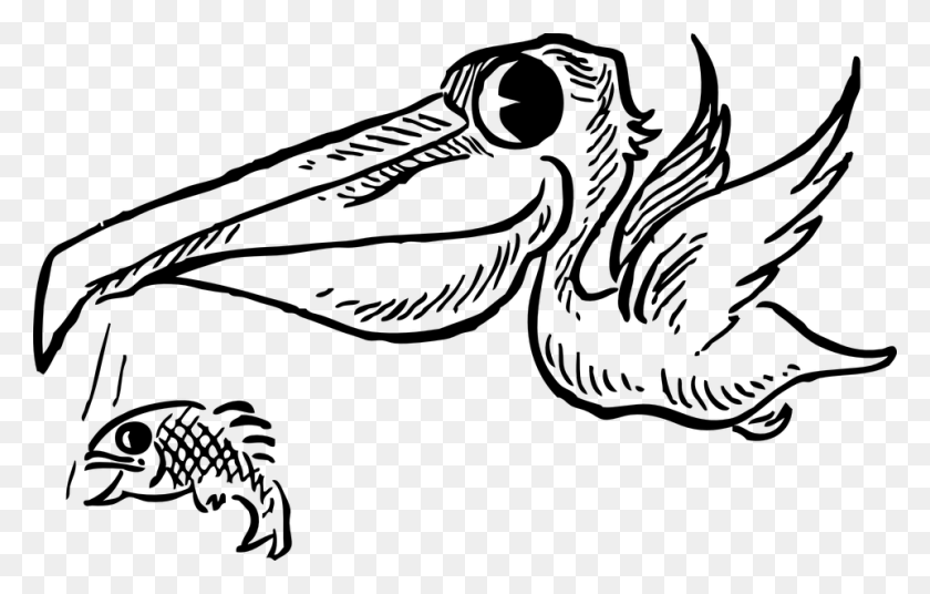 960x587 Pelican Flying Fish Dropping Bird Fly Food Beak Fish And Birds Clipart Black And White, Gray, World Of Warcraft HD PNG Download