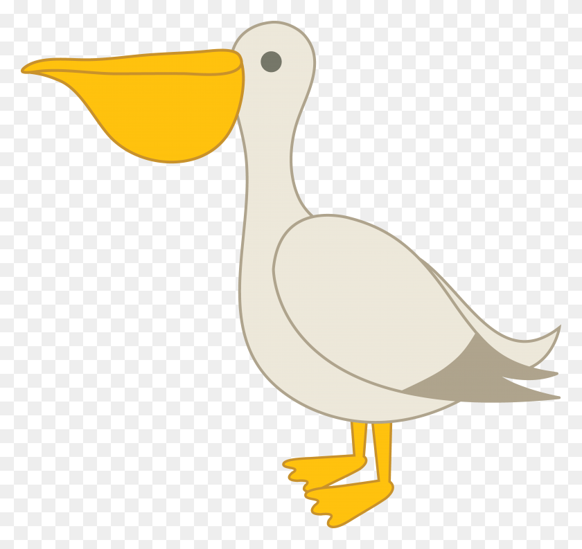 7352x6913 Pelican Free Image, Bird, Animal, Duck HD PNG Download