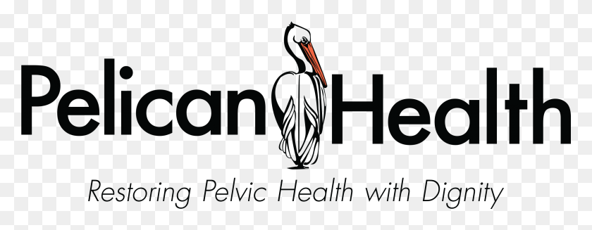 2979x1020 Pelican Health Clinic Brown Pelican, Waterfowl, Bird, Animal HD PNG Download