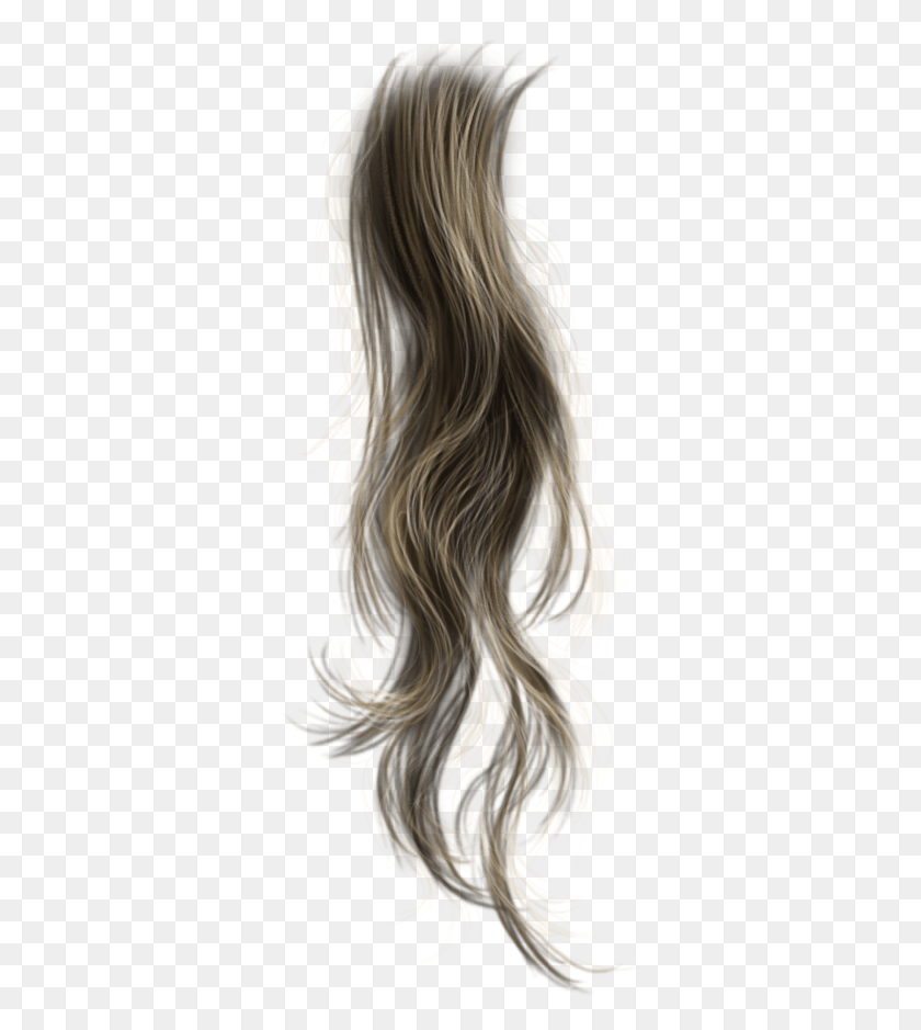 334x879 Pelucas Pelo Cabello Cabello Acciones Photoshop Волосы Для Фотошопа, Волосы, Человек, Человек Hd Png Скачать