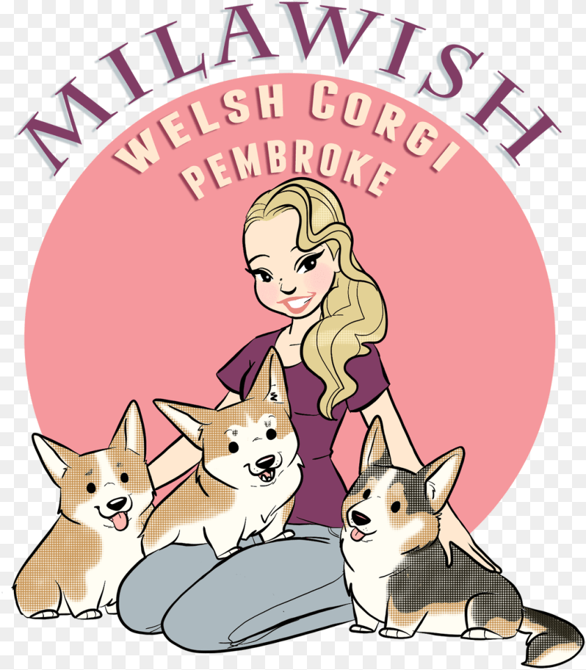 Pembroke Welsh Corgi, Baby, Person, Animal, Pet Transparent PNG