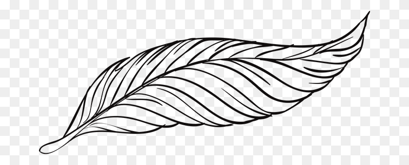 Pen Leaf, Plant, Art, Accessories Sticker PNG