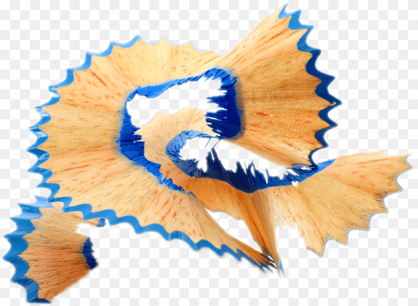 1024x751 Pencil Pencilshavings Shavingfreetoedit Creative Strategy A Guide, Animal, Fish, Sea Life, Bird Transparent PNG