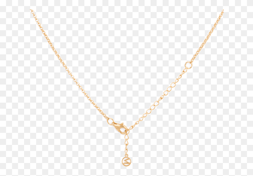647x523 Pendant, Necklace, Jewelry, Accessories HD PNG Download