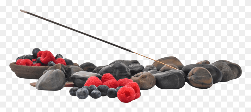 3562x1439 Pendy Co Berries Incense Product Image Lingonberry, Water, Outdoors, Animal HD PNG Download
