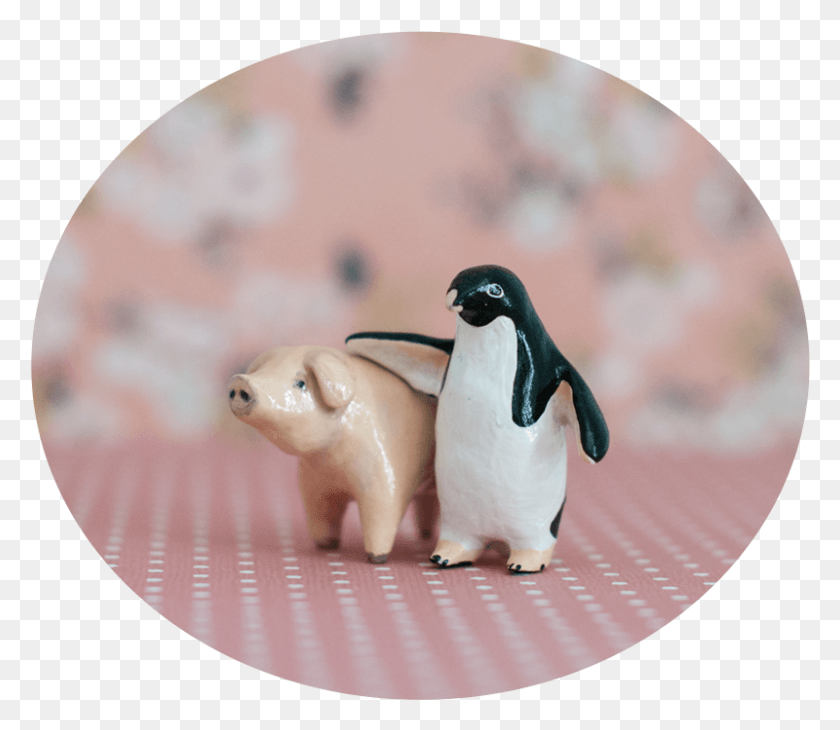 800x688 Pingüino Y Cerdo, Pájaro, Animal, Figurilla Hd Png
