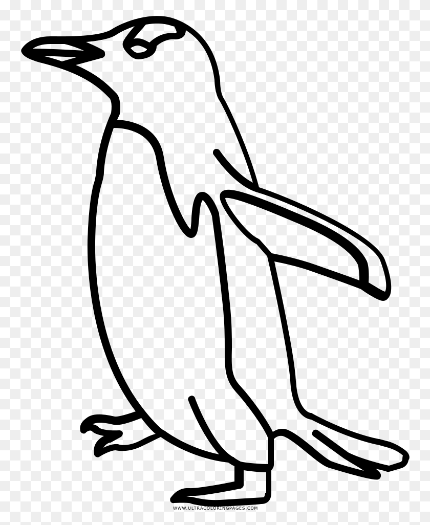 760x966 Penguin Coloring, Gray, World Of Warcraft HD PNG Download
