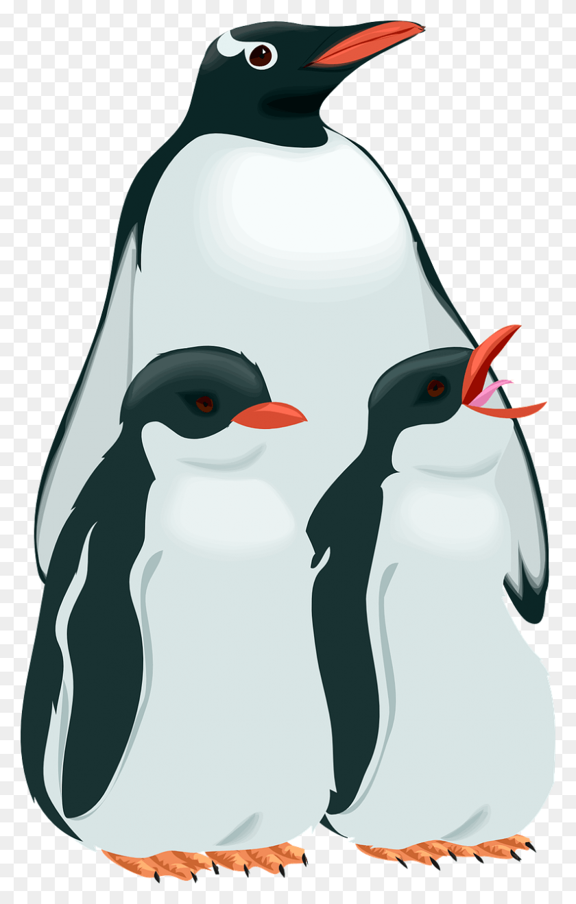 793x1280 Penguin Family Clipart, King Penguin, Bird, Animal HD PNG Download
