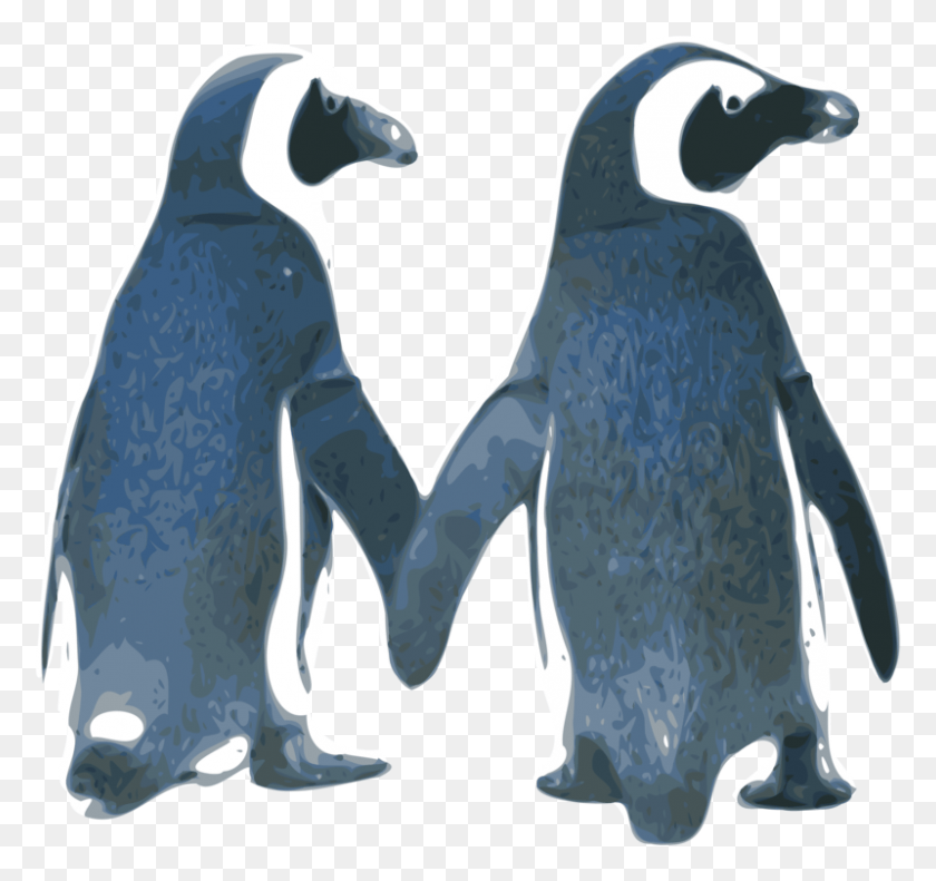 800x750 Penguin Holding Hands Bathroom Curtain Wedding Invitation Penguins In Love Clipart, Bird, Animal, King Penguin HD PNG Download