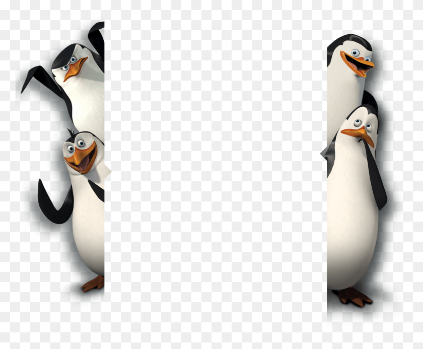 1271x1033 Penguin Images Penguins Madagascar, Bird, Animal, Puffin HD PNG Download