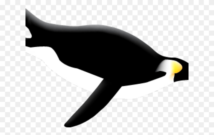 641x470 Пингвин На Прозрачном Фоне, Пингвин Адли, Животное, Морская Жизнь Png Скачать