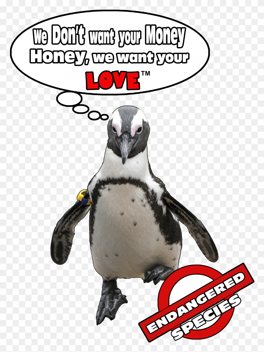 2858x3892 Penguinpromises HD PNG Download