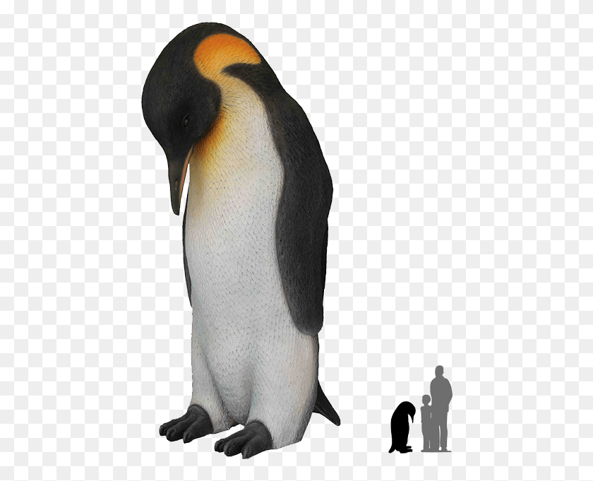 442x621 Penguins Transparent Images Transparent Penguin, Bird, Animal, King Penguin HD PNG Download