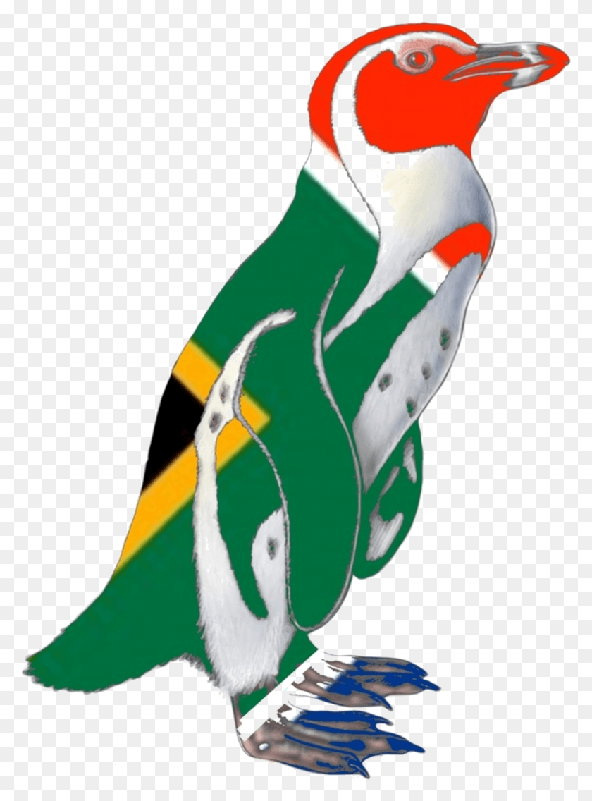 1428x1971 Пингвин Флаг Транс Пингвин, Птица, Животное, Одежда Hd Png Скачать