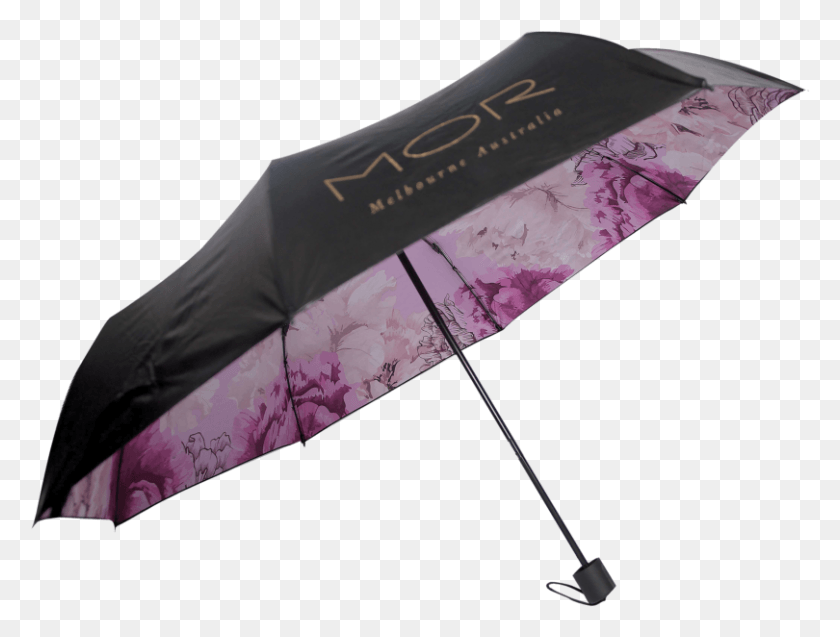 810x600 Peony Blossom Umbrella Umbrella, Canopy, Patio Umbrella, Garden Umbrella HD PNG Download