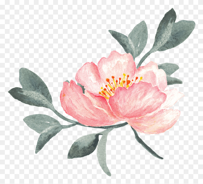 2198x1978 Peony Clipart Swag Peony Clip Art, Plant, Flower, Blossom HD PNG Download
