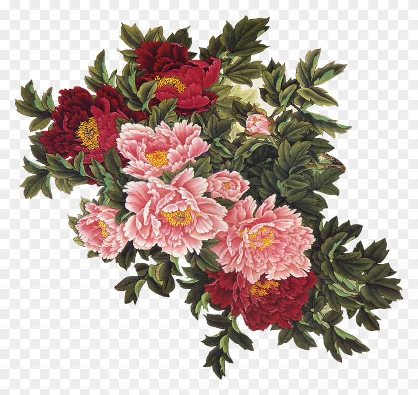 3001x2821 Peony Clipart Swag Vintage Flowers Illustration HD PNG Download