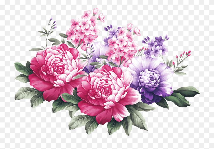 733x524 Peony Svg Chrysanthemum Background Design Of Rangoli, Plant, Dahlia, Flower HD PNG Download