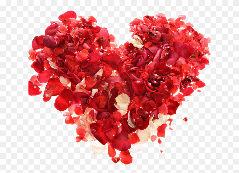 640x550 Люди Сердца День Святого Валентина Парикмахерская, Растение, Цветок, Цветение Png Скачать