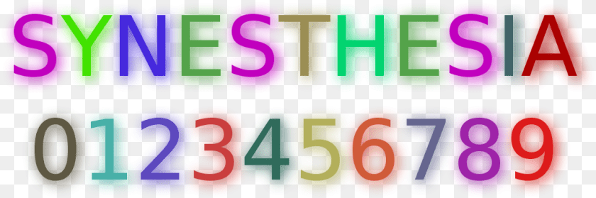 1070x355 People With Synesthesia See, Purple, Text PNG