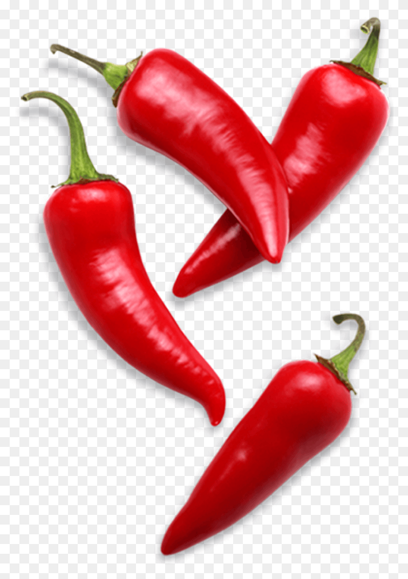 901x1308 Pepper, Plant, Vegetable, Food HD PNG Download