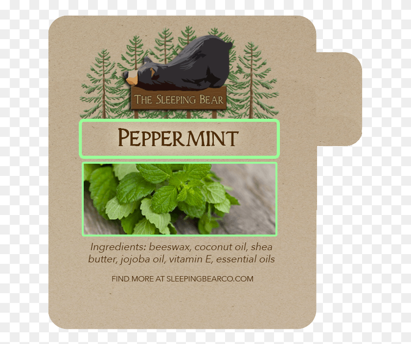 643x644 Peppermint Fortepiano, Potted Plant, Plant, Vase HD PNG Download