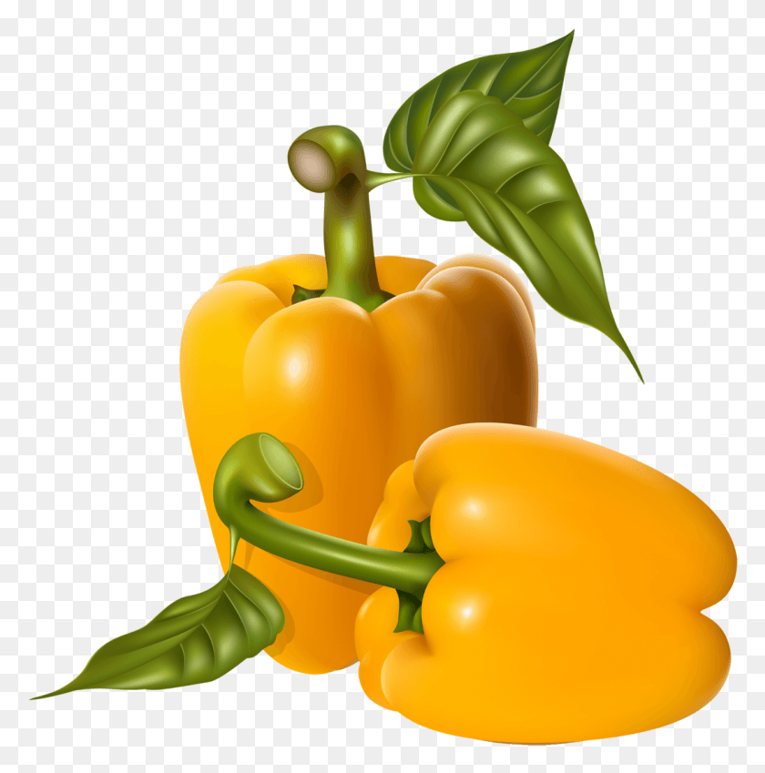 1086x1099 Peppers Bell Pepper, Plant, Vegetable, Food HD PNG Download