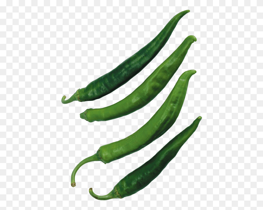 452x610 Peppers Bird39s Eye Chili, Plant, Vegetable, Food HD PNG Download