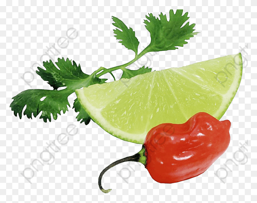 987x767 Peppers Clipart Green Lemon L Chanh V T, Plant, Lime, Citrus Fruit HD PNG Download
