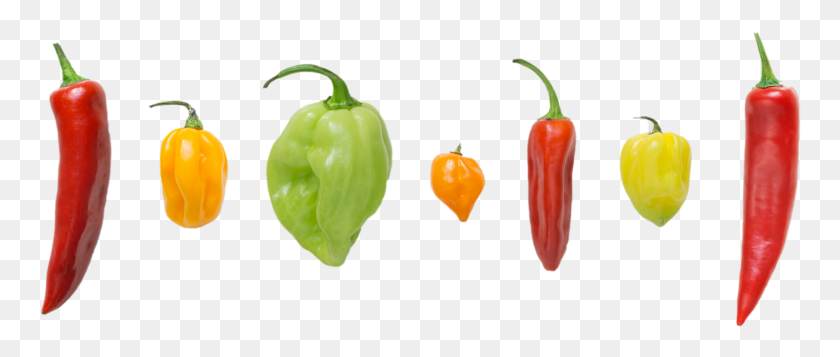 762x297 Peppers Tabasco Pepper, Plant, Vegetable, Food HD PNG Download
