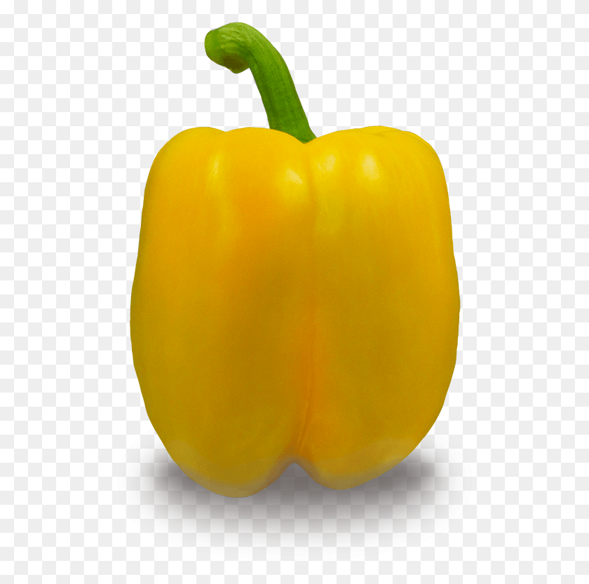530x773 Peppers Yellow Pepper, Plant, Vegetable, Food HD PNG Download