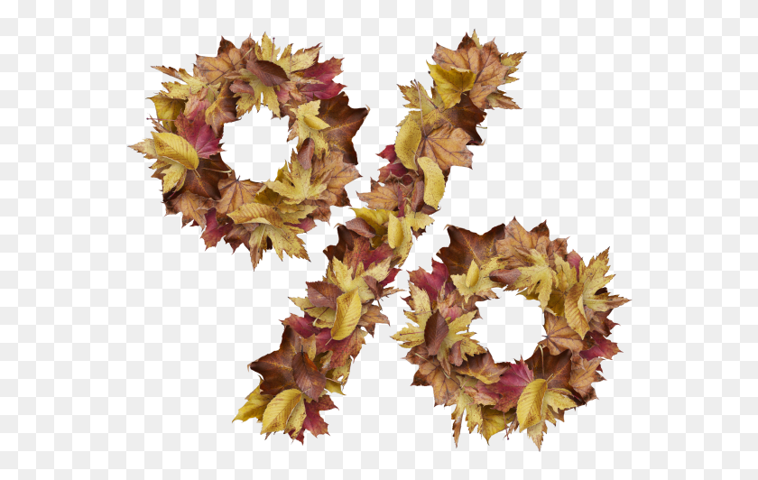 562x472 Символ Процента С Сухими Листьями Векторная Графика, Лист, Растение, Дерево Hd Png Скачать